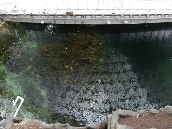 Ocean inside of Biosphere 2