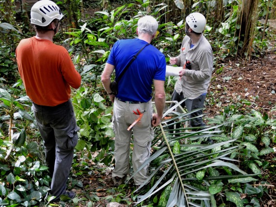 Researchers in Rain Forest