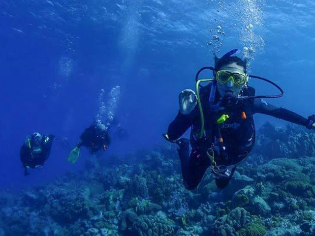 Diver in Ocean