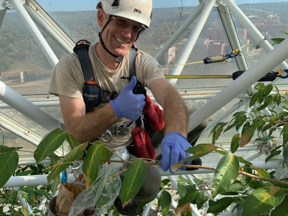 Janson in the canopy