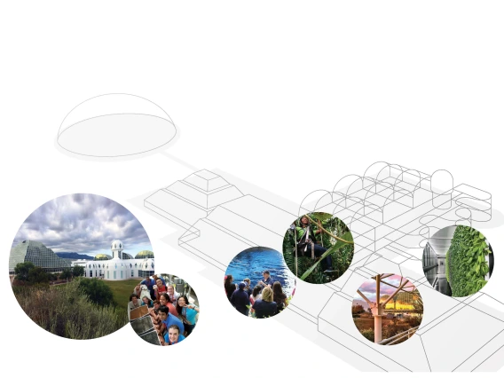 affiliates cover image