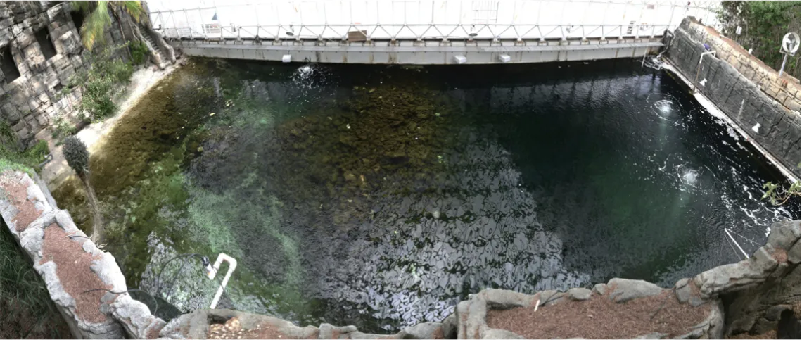 Ocean inside of Biosphere 2