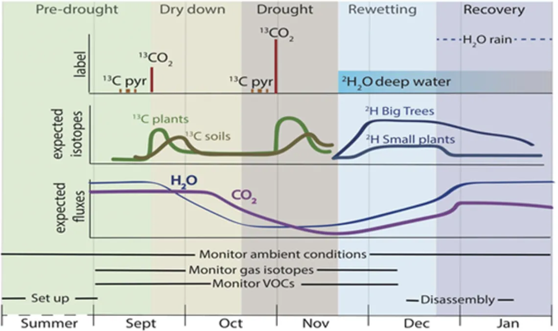 WALD graph