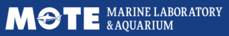 Mote marine