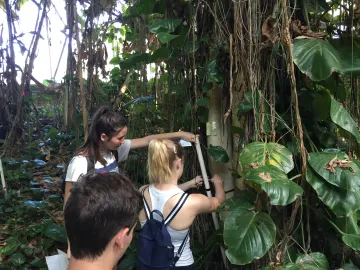 Students in the Tropical Rain Forest