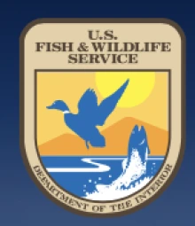 Fish and Wildlife